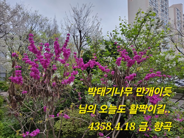 11d1eecfd2f05010803d1190ac5ca5e4_1744931
