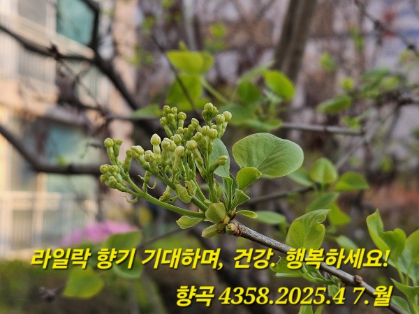 51bc241ec1aff132a3c643edcd06ad32_1743989
